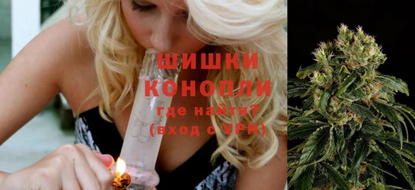 стафф Каменногорск