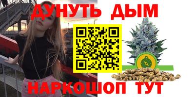 стаф Новодвинск