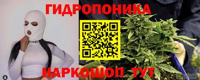 сатива Нальчик