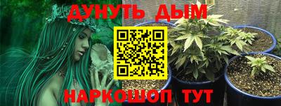 сатива Нальчик