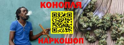 сатива Нальчик