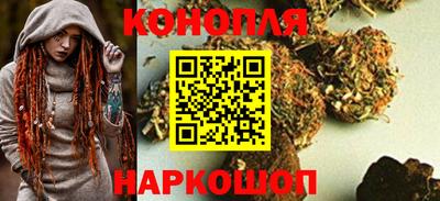 сатива Нальчик